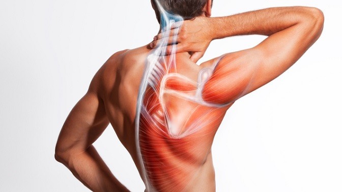 Упражнения и советы по улучшению осанки Упражнения и советы по улучшению осанки