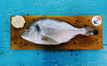 Где можно купить свежую рыбу дорадо в Санкт-Петербурге?