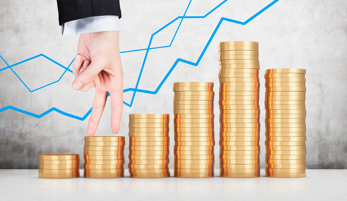 Какой бывает капитализация | Conomy