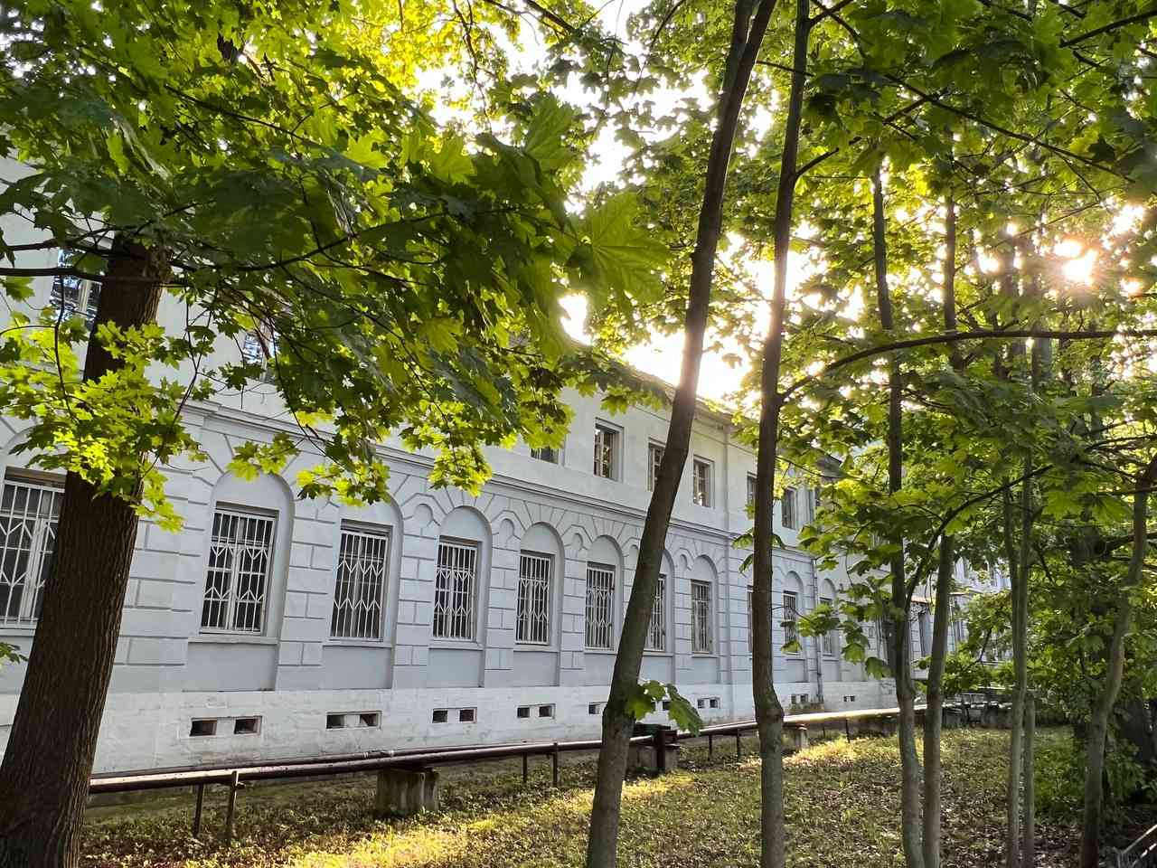 Частная наркологическая клиника: помощь в борьбе с зависимостью