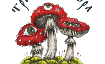 Три мухомора - путь к здоровью и богатству природы