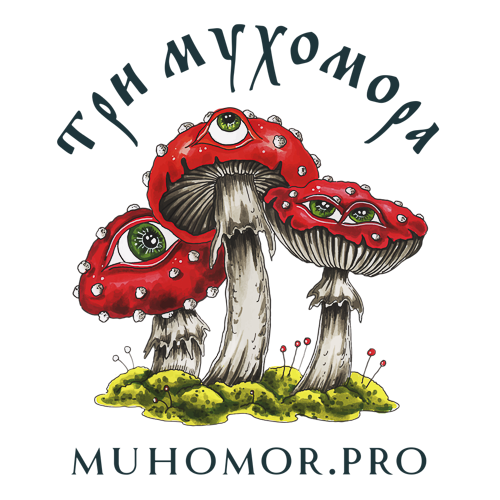 Три мухомора - путь к здоровью и богатству природы