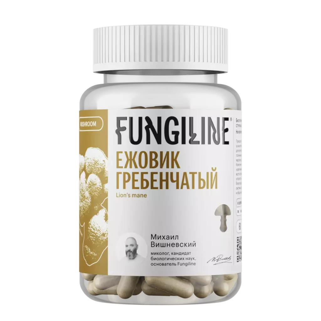 Общая информация о ежовике гребенчатом Общая информация о ежовике гребенчатом