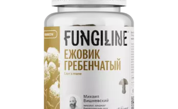 Общая информация о ежовике гребенчатом Общая информация о ежовике гребенчатом