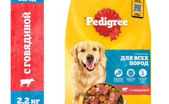 Качество сухого корма для собак: что важно знать