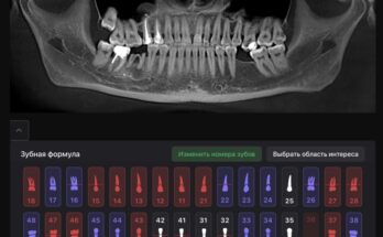 Diagnocat: уникальный сервис для диагностики заболеваний у домашних животных Diagnocat: уникальный сервис для диагностики заболеваний у домашних животных