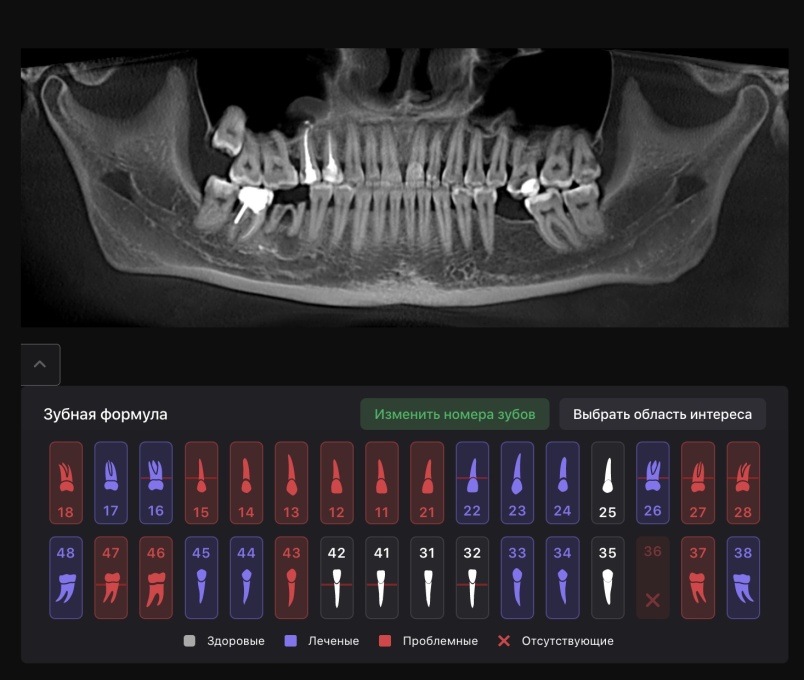Diagnocat: уникальный сервис для диагностики заболеваний у домашних животных