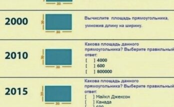 Значение образования в современном мире