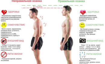 Топ-5 упражнений для осанки