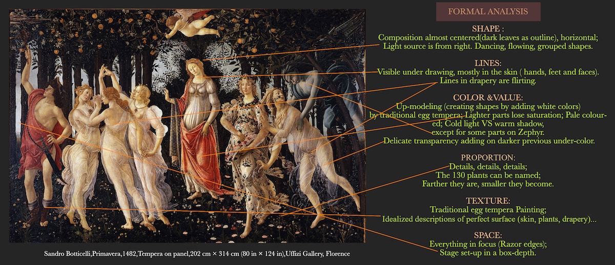 История и происхождение Primavera