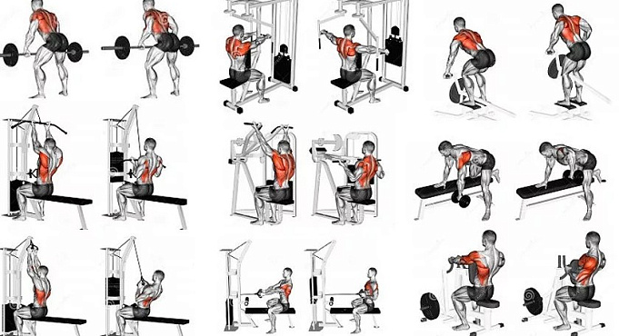 Упражнения для укрепления мышц спины