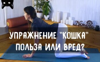 Поза "кота" для спины и осанки Поза "кота" для спины и осанки