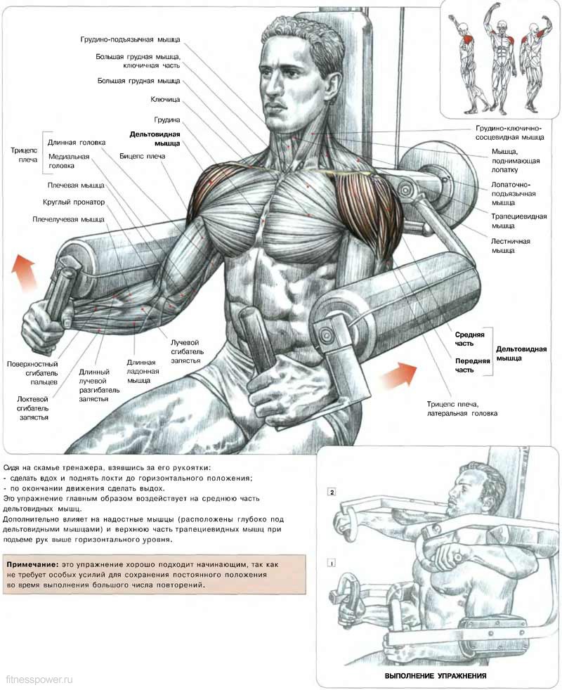 Топ-5 упражнений для осанки